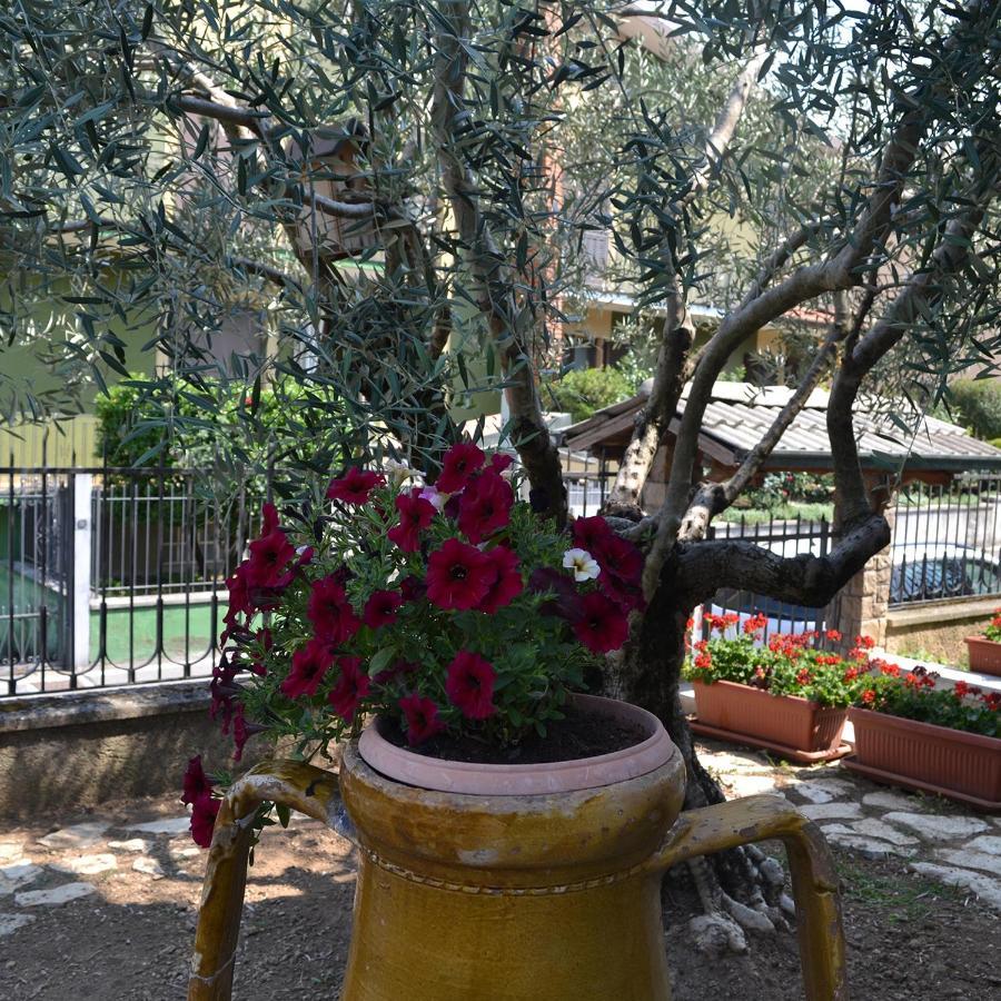 Riflessi D'Arte Bed & Breakfast Provaglio d'Iseo Exterior foto