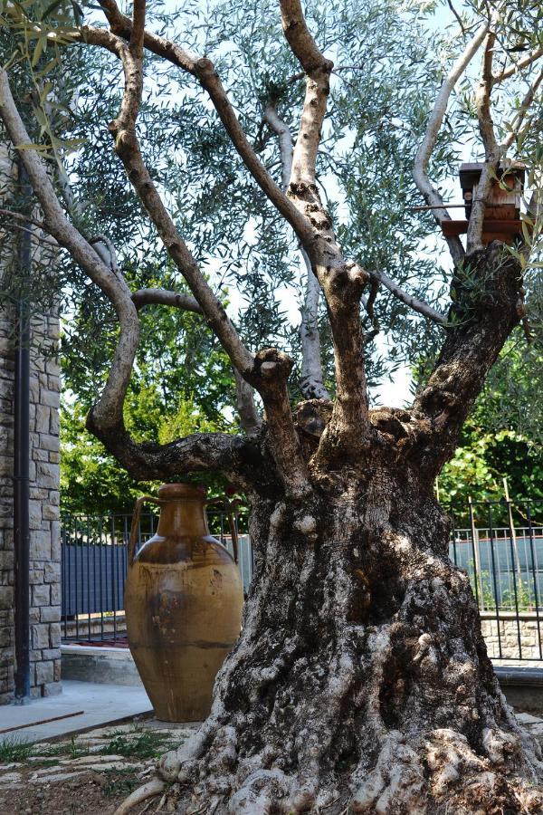 Riflessi D'Arte Bed & Breakfast Provaglio d'Iseo Exterior foto