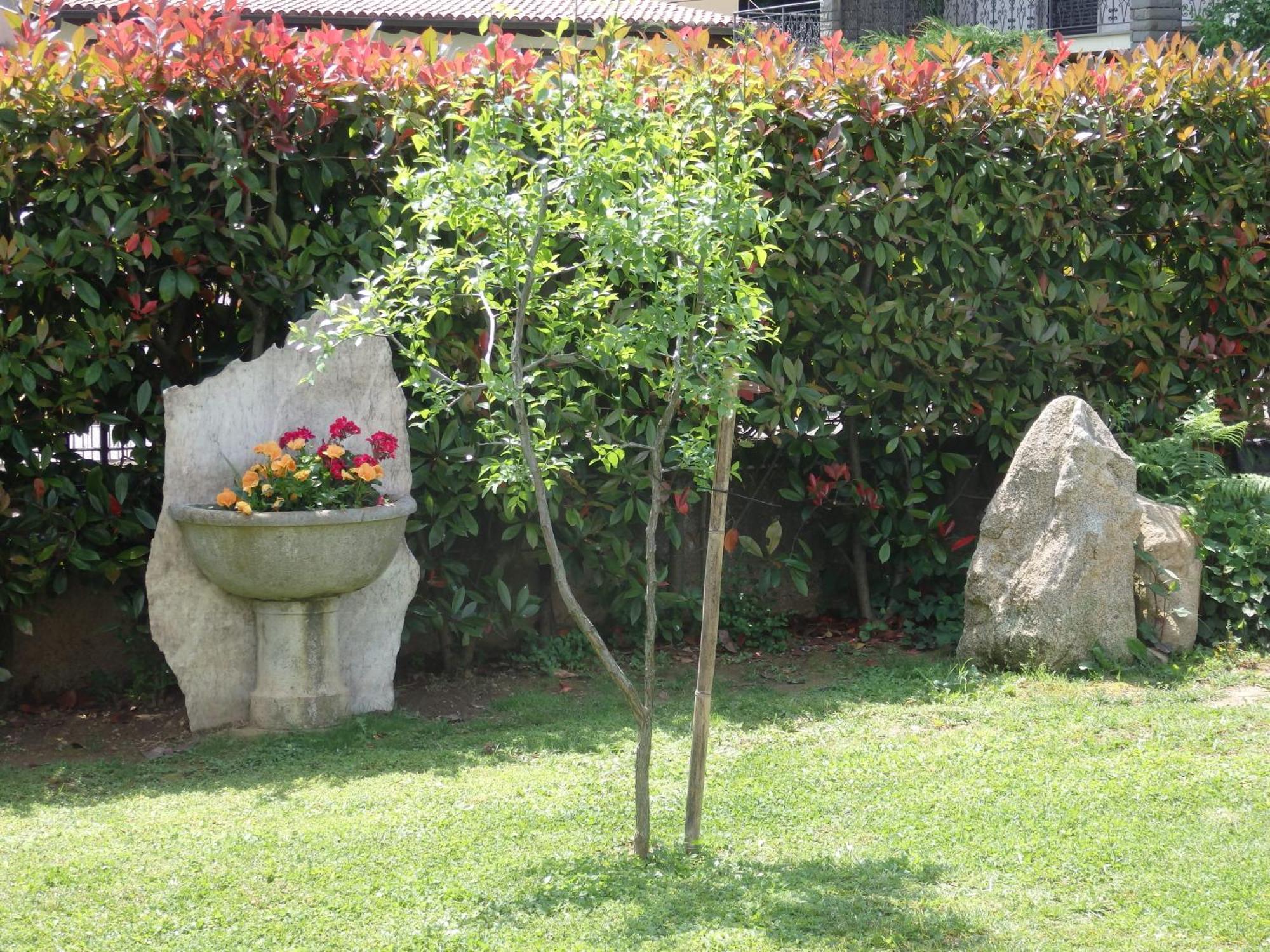 Riflessi D'Arte Bed & Breakfast Provaglio d'Iseo Exterior foto